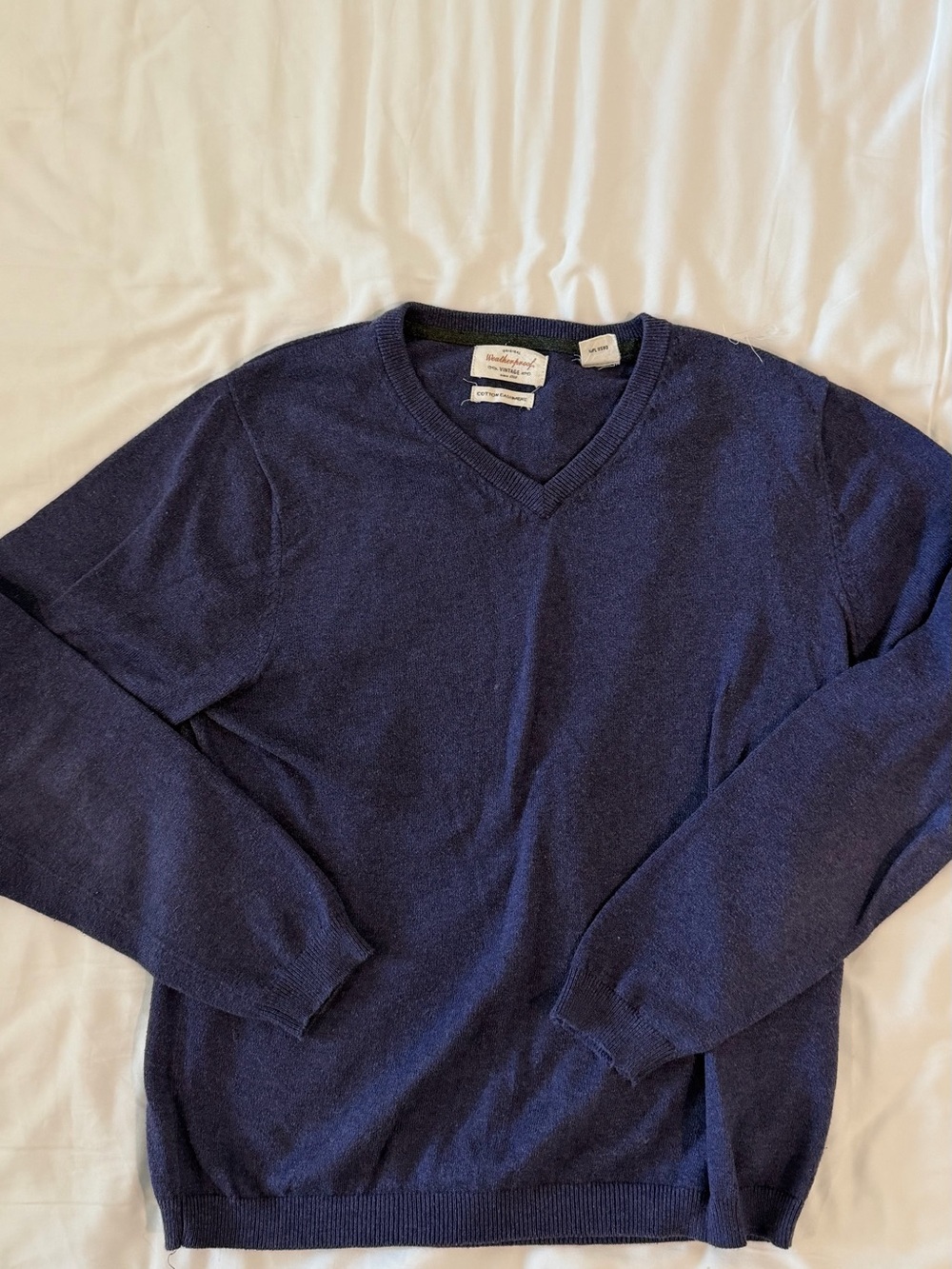 Weatherproof Men's purple V-Neck Sweater